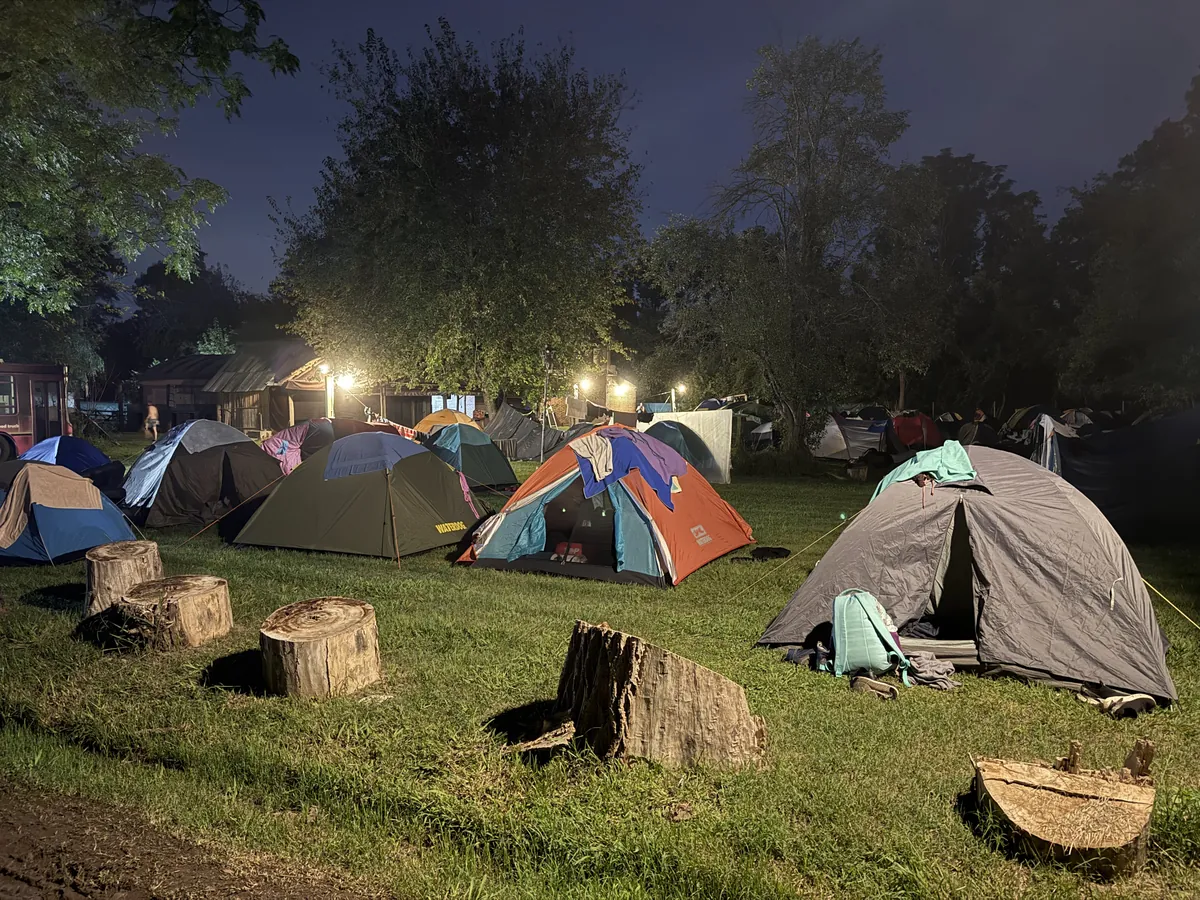Carpas iluminadas al caer la noche