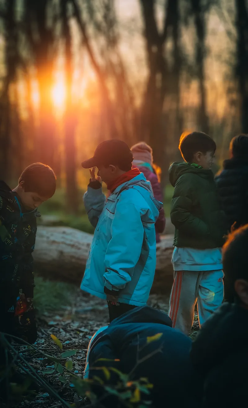 Chicos abrigados entre los árboles del bosque, con la luz dorada del atardecer detrás