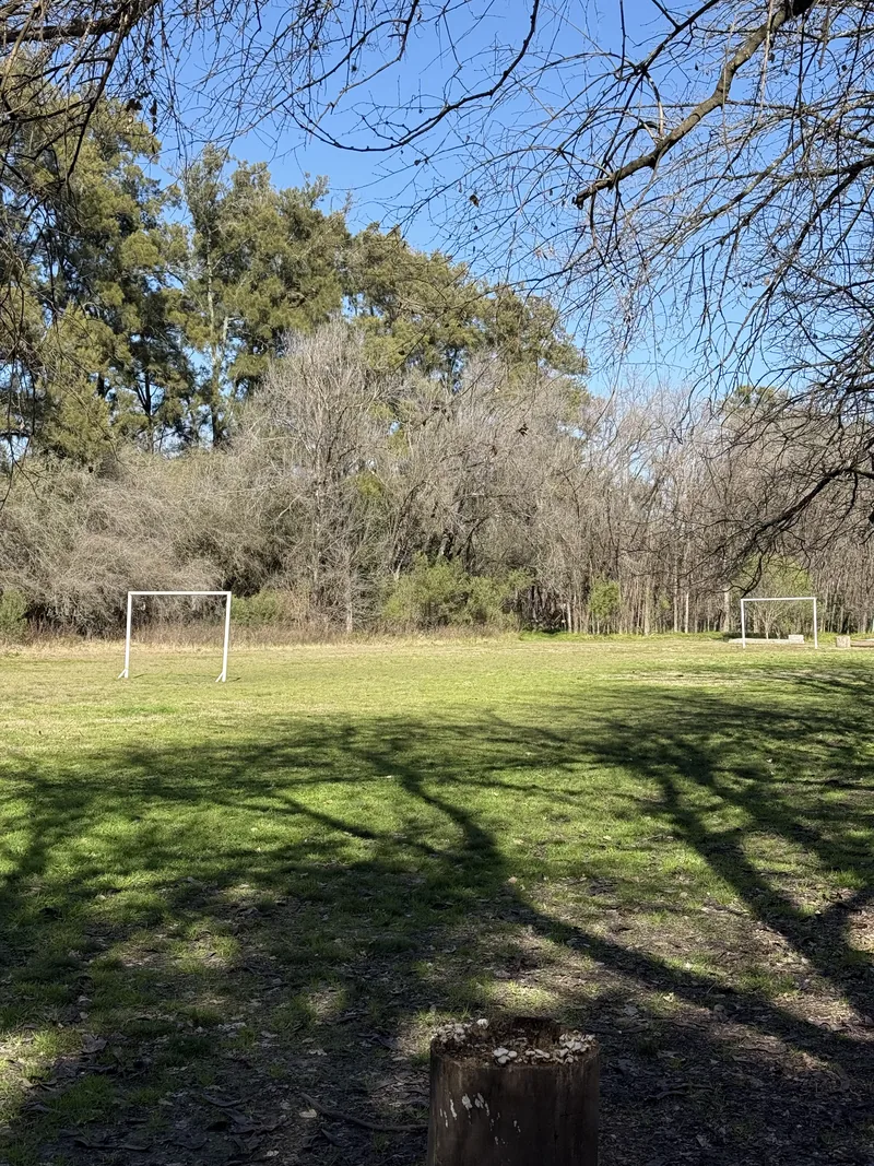 La cancha de fútbol, con los arcos entre los árboles