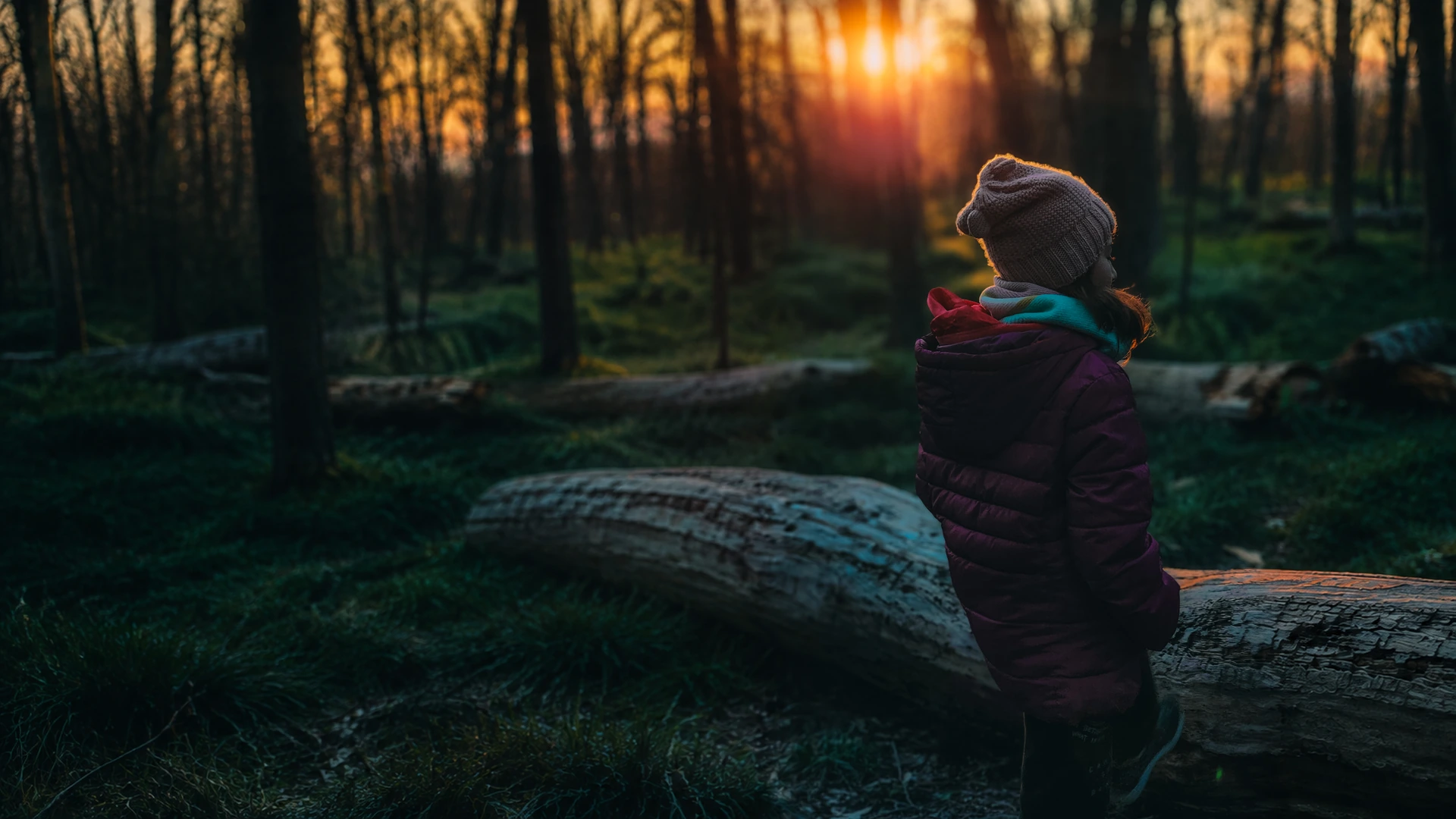 Niña contemplando el bosque de BioHuellas al atardecer