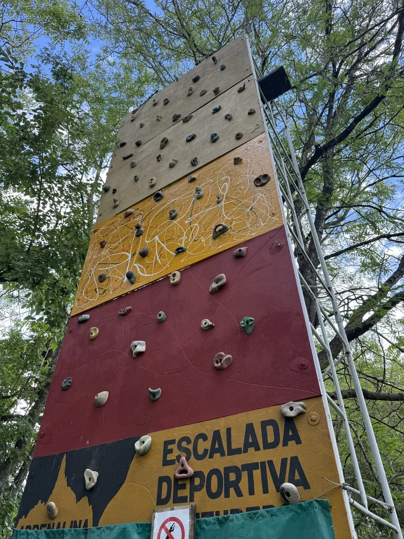 La palestra de escalada del predio, con sus agarres de colores