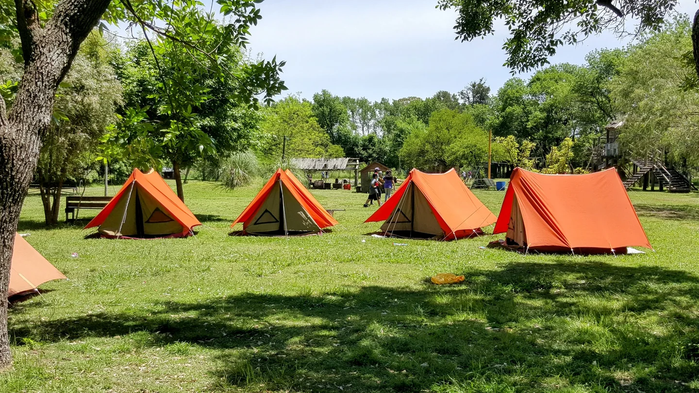 Carpas naranjas entre los árboles del predio