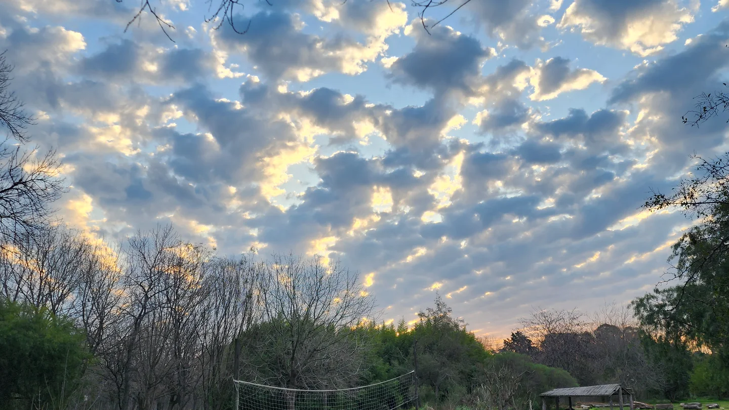 Cielo con nubes sobre la arboleda de BioHuellas