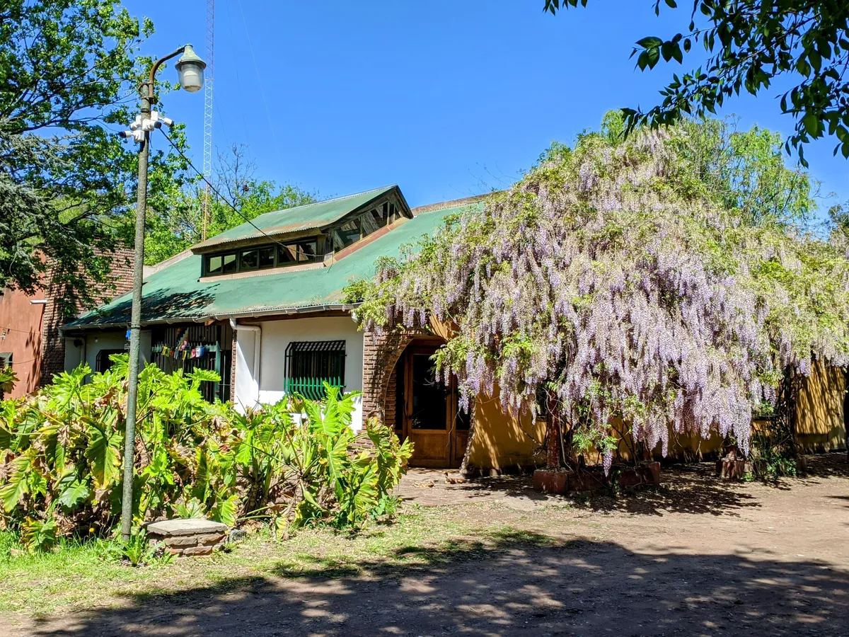 La casa albergue, con la glicina en flor