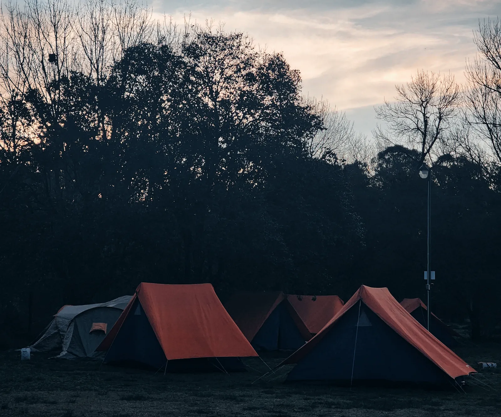 Carpas naranjas del campamento al atardecer, bajo los árboles del predio y un cielo pastel